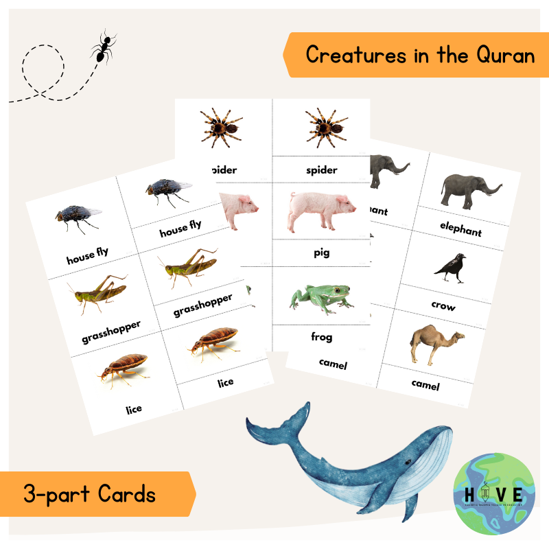 Read more about the article Creatures in the Quran </br> – Nomenclature