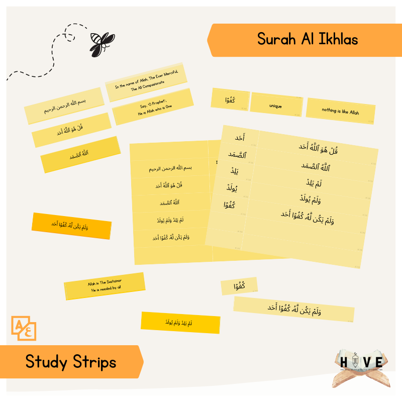 Read more about the article Surah Al Ikhlas </br> – Study Strips