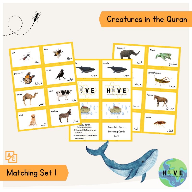 Read more about the article Creatures in the Quran </br> – Matching Set One