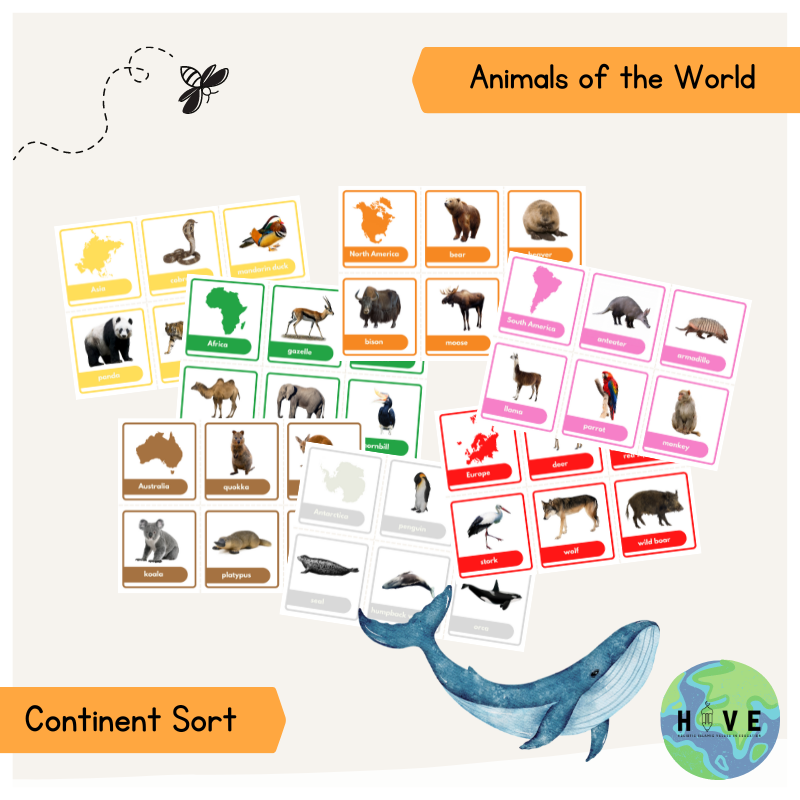 Read more about the article Animals of the World </br> – Continent Sort