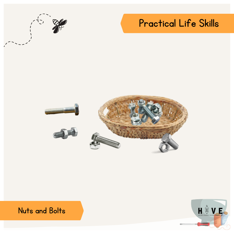 Read more about the article Nuts and Bolts
