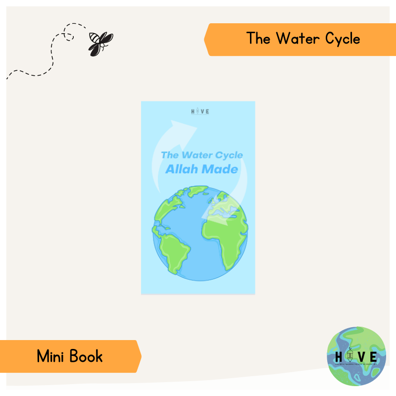 Read more about the article Water Cycle </br> – Mini Book