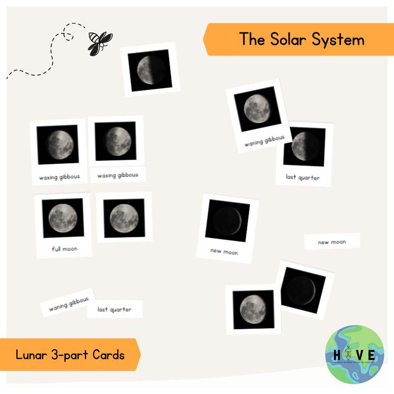 The Solar System